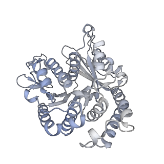 40220_8glv_Fk_v1-2
96-nm repeat unit of doublet microtubules from Chlamydomonas reinhardtii flagella