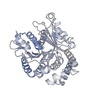 40220_8glv_Fl_v1-2
96-nm repeat unit of doublet microtubules from Chlamydomonas reinhardtii flagella