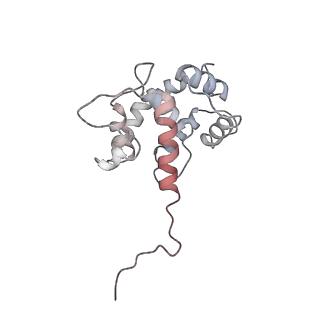 40220_8glv_Fn_v1-2
96-nm repeat unit of doublet microtubules from Chlamydomonas reinhardtii flagella