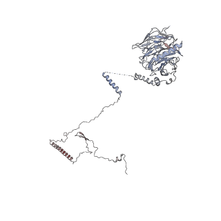 40220_8glv_Fo_v1-2
96-nm repeat unit of doublet microtubules from Chlamydomonas reinhardtii flagella