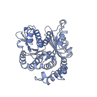 40220_8glv_Fp_v1-2
96-nm repeat unit of doublet microtubules from Chlamydomonas reinhardtii flagella