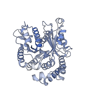 40220_8glv_Fq_v1-2
96-nm repeat unit of doublet microtubules from Chlamydomonas reinhardtii flagella