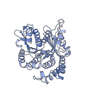 40220_8glv_Fr_v1-2
96-nm repeat unit of doublet microtubules from Chlamydomonas reinhardtii flagella
