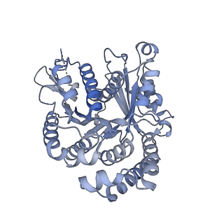 40220_8glv_Fs_v1-2
96-nm repeat unit of doublet microtubules from Chlamydomonas reinhardtii flagella