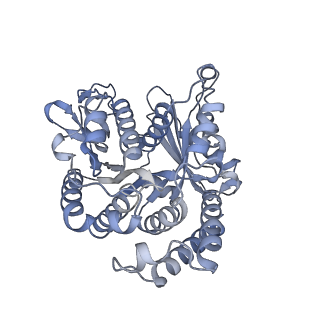 40220_8glv_Ft_v1-2
96-nm repeat unit of doublet microtubules from Chlamydomonas reinhardtii flagella