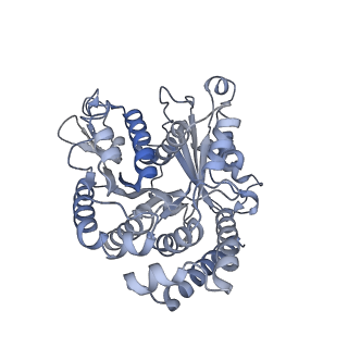 40220_8glv_Fu_v1-2
96-nm repeat unit of doublet microtubules from Chlamydomonas reinhardtii flagella