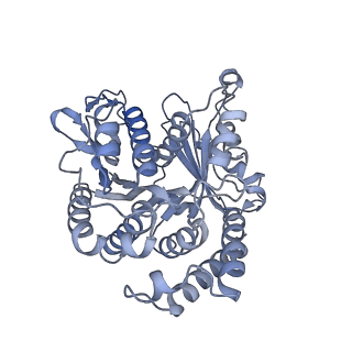 40220_8glv_Fv_v1-2
96-nm repeat unit of doublet microtubules from Chlamydomonas reinhardtii flagella