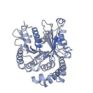 40220_8glv_Fw_v1-2
96-nm repeat unit of doublet microtubules from Chlamydomonas reinhardtii flagella