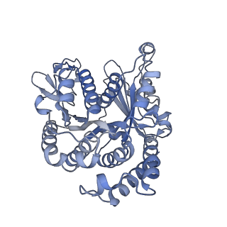 40220_8glv_Fx_v1-2
96-nm repeat unit of doublet microtubules from Chlamydomonas reinhardtii flagella