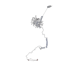40220_8glv_Fz_v1-2
96-nm repeat unit of doublet microtubules from Chlamydomonas reinhardtii flagella