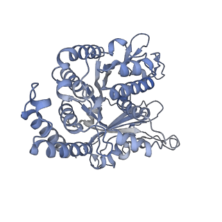 40220_8glv_G0_v1-2
96-nm repeat unit of doublet microtubules from Chlamydomonas reinhardtii flagella