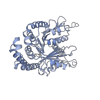 40220_8glv_G1_v1-2
96-nm repeat unit of doublet microtubules from Chlamydomonas reinhardtii flagella