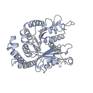 40220_8glv_G3_v1-2
96-nm repeat unit of doublet microtubules from Chlamydomonas reinhardtii flagella
