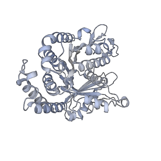 40220_8glv_G4_v1-2
96-nm repeat unit of doublet microtubules from Chlamydomonas reinhardtii flagella