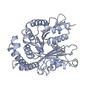 40220_8glv_G5_v1-2
96-nm repeat unit of doublet microtubules from Chlamydomonas reinhardtii flagella