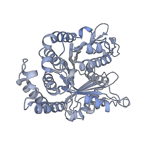 40220_8glv_G6_v1-2
96-nm repeat unit of doublet microtubules from Chlamydomonas reinhardtii flagella