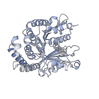 40220_8glv_G7_v1-2
96-nm repeat unit of doublet microtubules from Chlamydomonas reinhardtii flagella