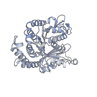 40220_8glv_G8_v1-2
96-nm repeat unit of doublet microtubules from Chlamydomonas reinhardtii flagella