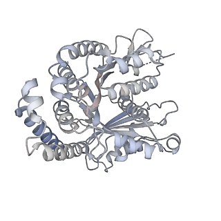 40220_8glv_G9_v1-2
96-nm repeat unit of doublet microtubules from Chlamydomonas reinhardtii flagella