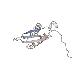 40220_8glv_GA_v1-2
96-nm repeat unit of doublet microtubules from Chlamydomonas reinhardtii flagella