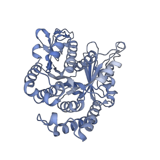 40220_8glv_GB_v1-2
96-nm repeat unit of doublet microtubules from Chlamydomonas reinhardtii flagella