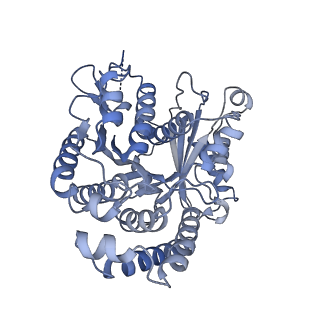 40220_8glv_GC_v1-2
96-nm repeat unit of doublet microtubules from Chlamydomonas reinhardtii flagella