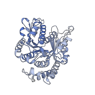 40220_8glv_GD_v1-2
96-nm repeat unit of doublet microtubules from Chlamydomonas reinhardtii flagella