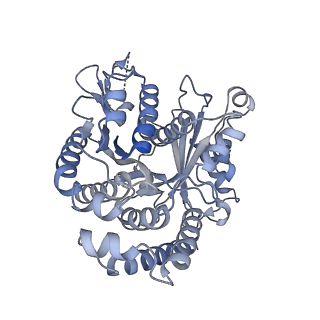 40220_8glv_GE_v1-2
96-nm repeat unit of doublet microtubules from Chlamydomonas reinhardtii flagella