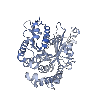 40220_8glv_GG_v1-2
96-nm repeat unit of doublet microtubules from Chlamydomonas reinhardtii flagella