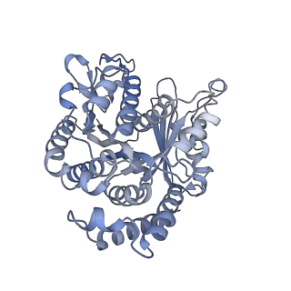 40220_8glv_GH_v1-2
96-nm repeat unit of doublet microtubules from Chlamydomonas reinhardtii flagella