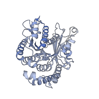 40220_8glv_GI_v1-2
96-nm repeat unit of doublet microtubules from Chlamydomonas reinhardtii flagella