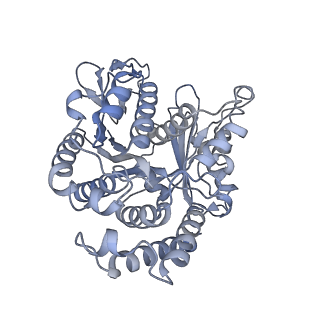 40220_8glv_GJ_v1-2
96-nm repeat unit of doublet microtubules from Chlamydomonas reinhardtii flagella