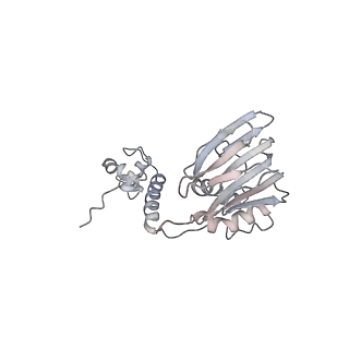 40220_8glv_GK_v1-2
96-nm repeat unit of doublet microtubules from Chlamydomonas reinhardtii flagella