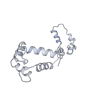 40220_8glv_GL_v1-2
96-nm repeat unit of doublet microtubules from Chlamydomonas reinhardtii flagella