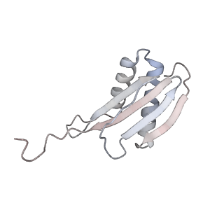 40220_8glv_GM_v1-2
96-nm repeat unit of doublet microtubules from Chlamydomonas reinhardtii flagella