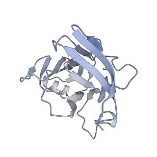 40220_8glv_GO_v1-2
96-nm repeat unit of doublet microtubules from Chlamydomonas reinhardtii flagella