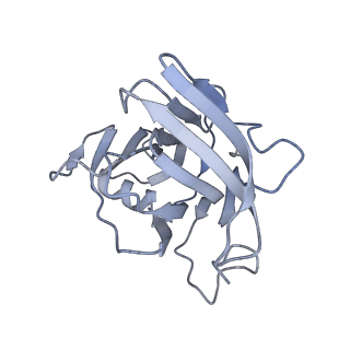 40220_8glv_GQ_v1-2
96-nm repeat unit of doublet microtubules from Chlamydomonas reinhardtii flagella