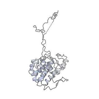40220_8glv_GR_v1-2
96-nm repeat unit of doublet microtubules from Chlamydomonas reinhardtii flagella