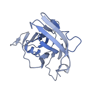 40220_8glv_GS_v1-2
96-nm repeat unit of doublet microtubules from Chlamydomonas reinhardtii flagella