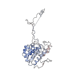 40220_8glv_GT_v1-2
96-nm repeat unit of doublet microtubules from Chlamydomonas reinhardtii flagella