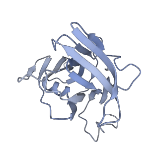 40220_8glv_GW_v1-2
96-nm repeat unit of doublet microtubules from Chlamydomonas reinhardtii flagella