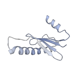40220_8glv_GY_v1-2
96-nm repeat unit of doublet microtubules from Chlamydomonas reinhardtii flagella