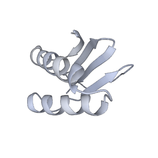 40220_8glv_Ge_v1-2
96-nm repeat unit of doublet microtubules from Chlamydomonas reinhardtii flagella