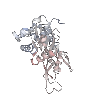 40220_8glv_Gh_v1-2
96-nm repeat unit of doublet microtubules from Chlamydomonas reinhardtii flagella