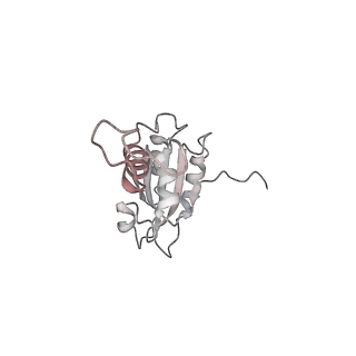 40220_8glv_Gu_v1-2
96-nm repeat unit of doublet microtubules from Chlamydomonas reinhardtii flagella