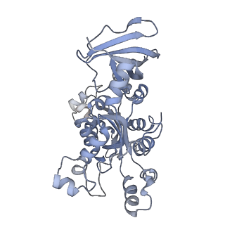 40220_8glv_Gz_v1-2
96-nm repeat unit of doublet microtubules from Chlamydomonas reinhardtii flagella