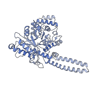 40220_8glv_H0_v1-2
96-nm repeat unit of doublet microtubules from Chlamydomonas reinhardtii flagella