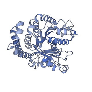 40220_8glv_H1_v1-2
96-nm repeat unit of doublet microtubules from Chlamydomonas reinhardtii flagella