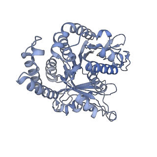 40220_8glv_H2_v1-2
96-nm repeat unit of doublet microtubules from Chlamydomonas reinhardtii flagella