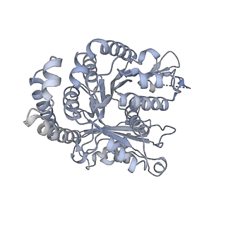 40220_8glv_H3_v1-2
96-nm repeat unit of doublet microtubules from Chlamydomonas reinhardtii flagella